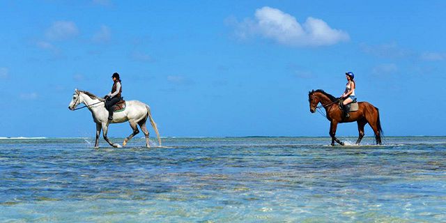 Romantic horseback riding swimming riambel beach lunch (4)
